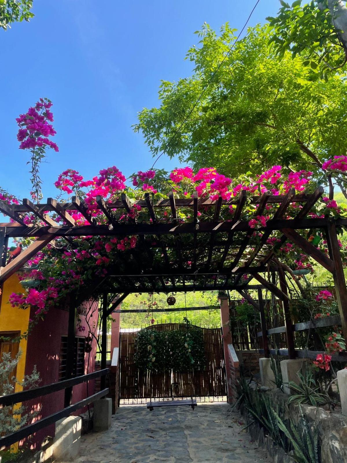 Hostal La Casa De Felipe Taganga Kültér fotó